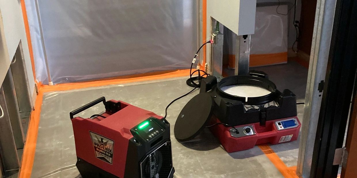 Black Mold Removal And Remediation Company