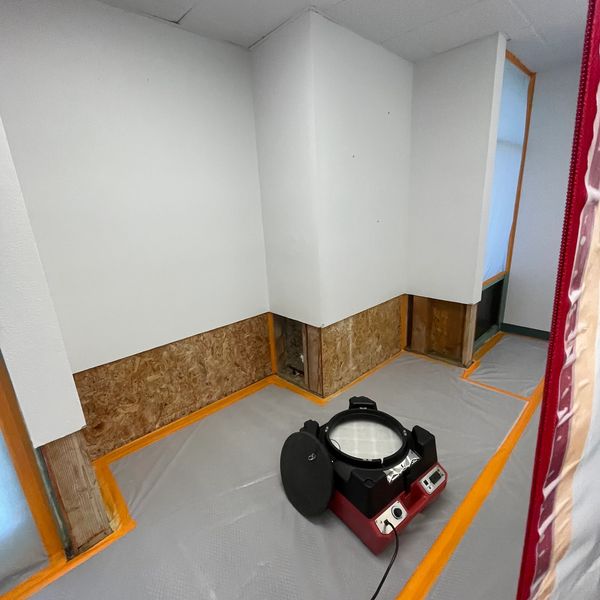 Mold Remediation and Removal Services - BMS CAT