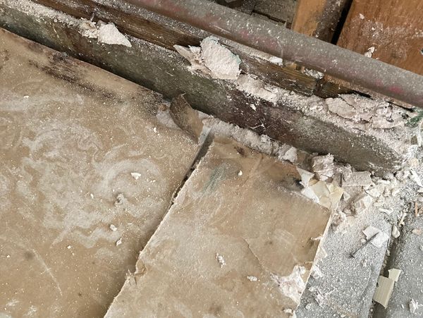Mold damage Cleanup Company Canyon Lake CA