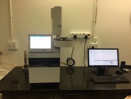 GC Assays 