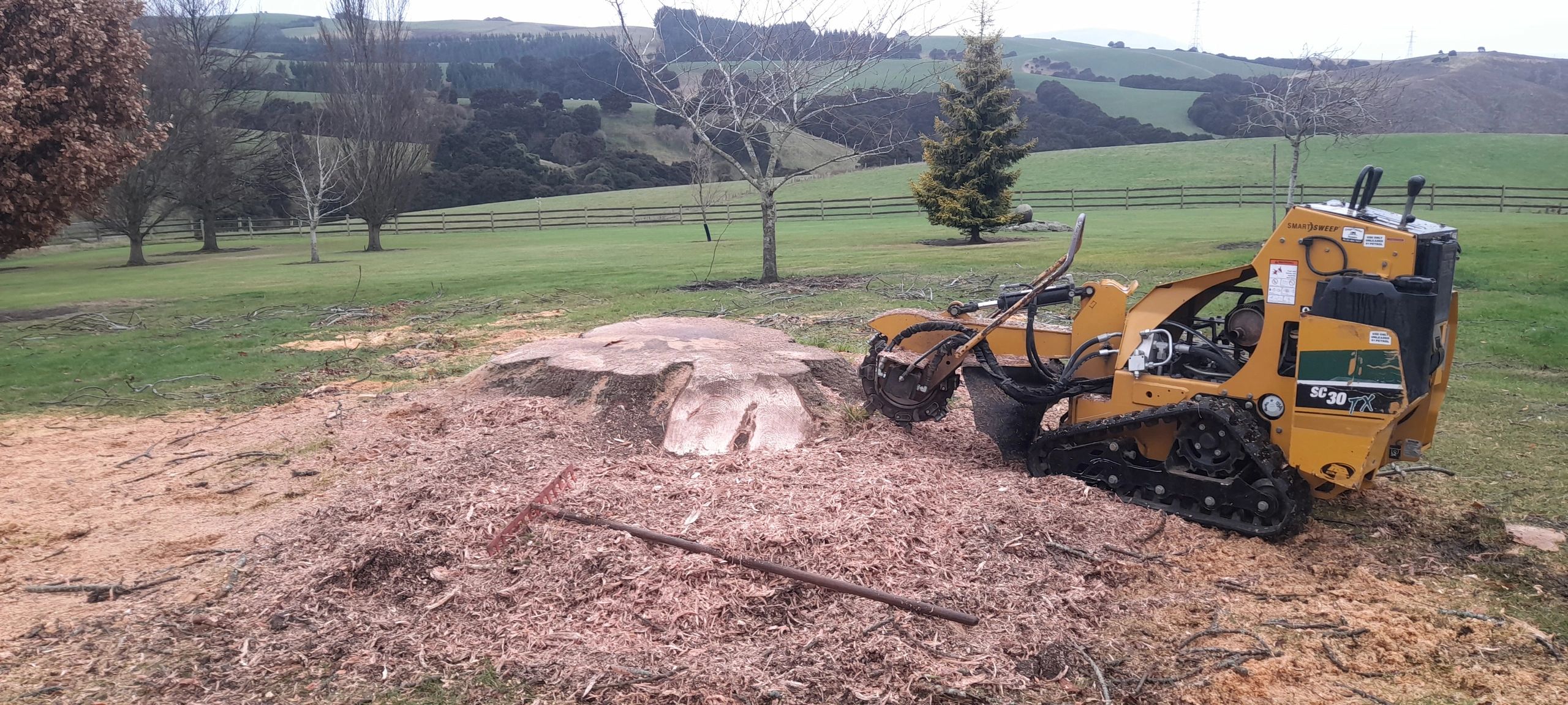Taieri Stump and Tree - Stump Grinding, Tree Trimming and Stump Removal ...