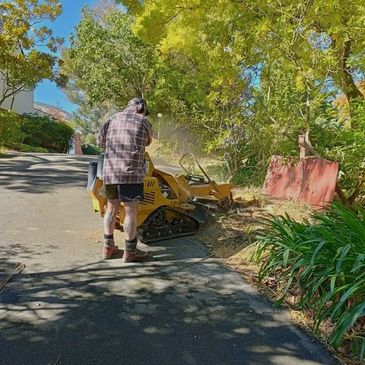 tree stump grinding and removal