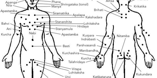 Marma Points, Yoga, Ayurveda