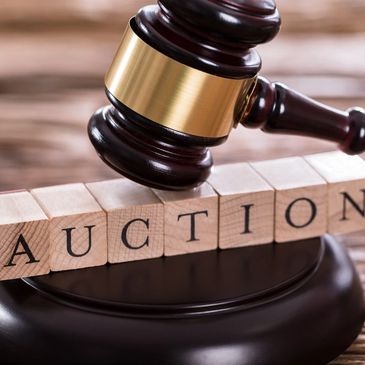 We offer local online auctions in the Lee County area.  