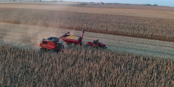 Combine harvester working in a soybean field.