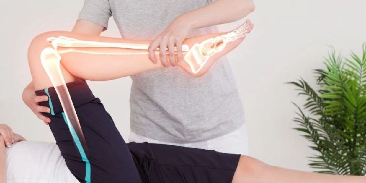 Physical therapist examining patient's leg with bone structure overlay.