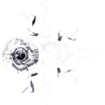 Odyssey Studios