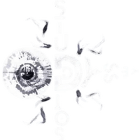 Odyssey Studios