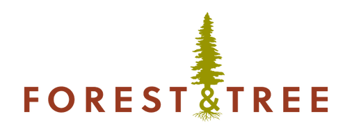 Forest & Tree