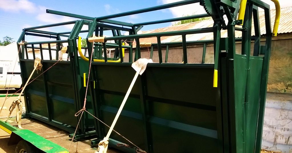 Cattle Handling Crate