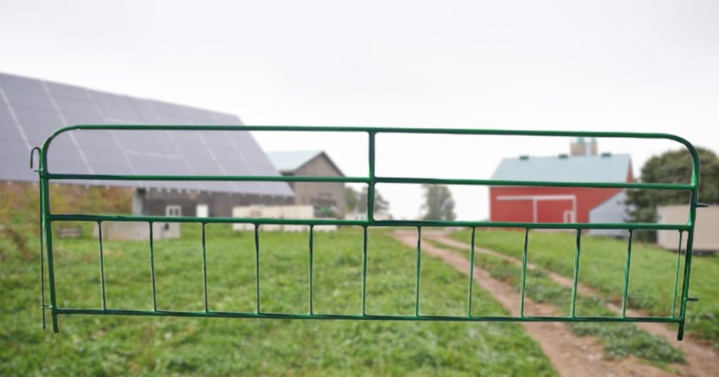 Sheep Creepfeed Gate