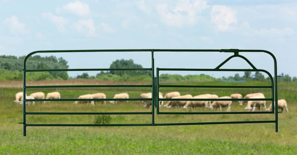 Sheep Corral Swing Gate