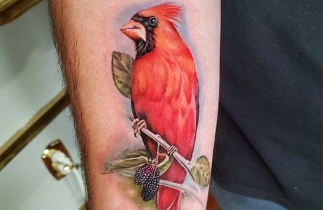 Color realism tattoo, on  a forearm, of a Cardinal sitting on a mulberry branch.