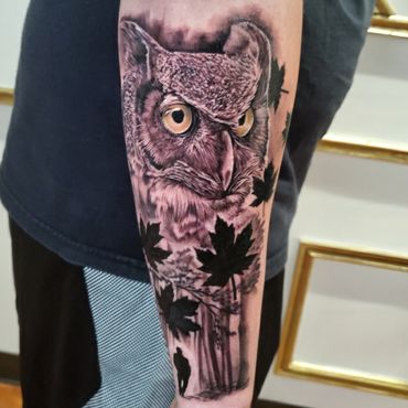 Black and grey realism Hyper realistic portrait of a a horned owl.