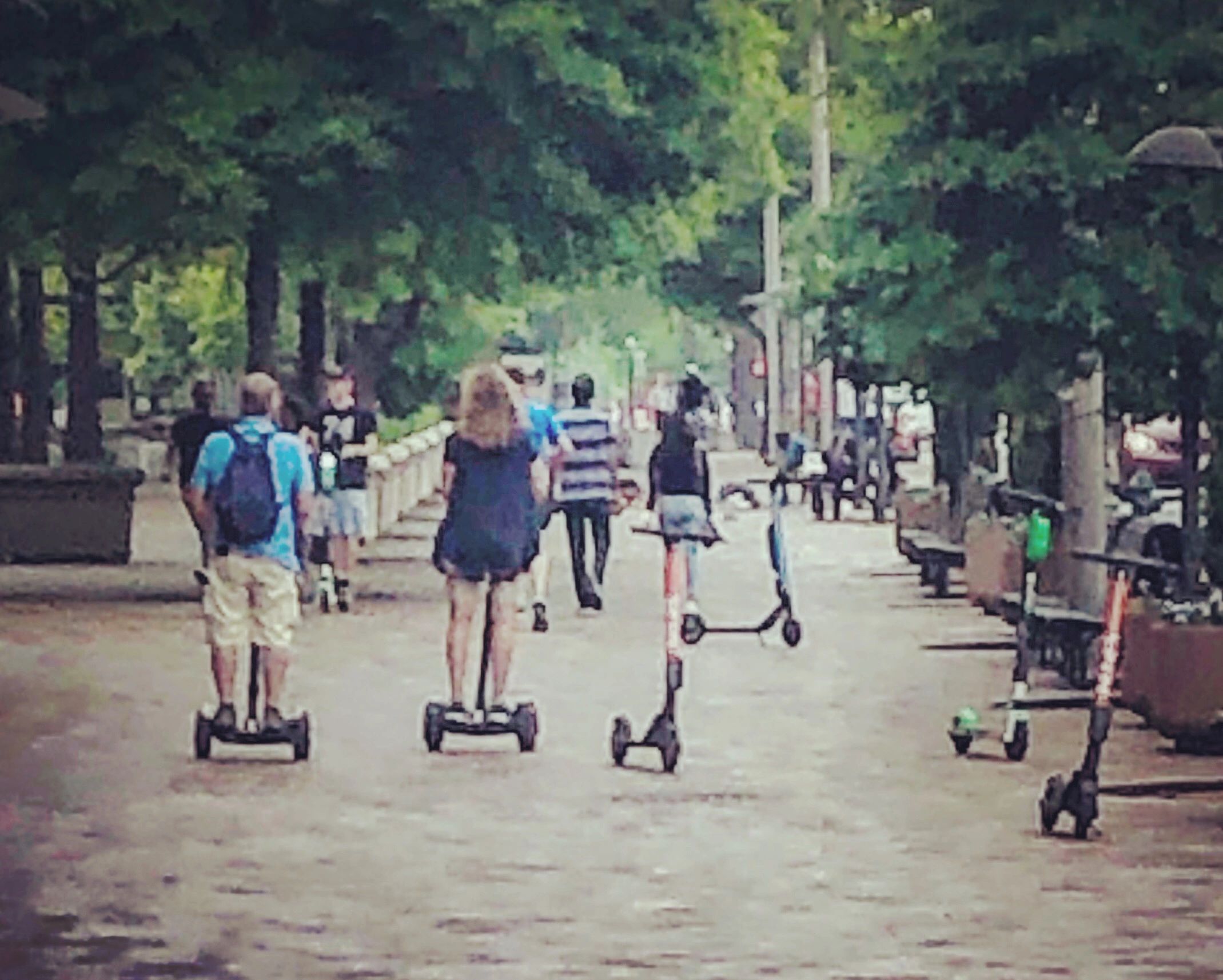 Electric Scooter Rentals...