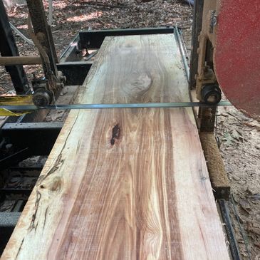 Hickory Log on Sawmill