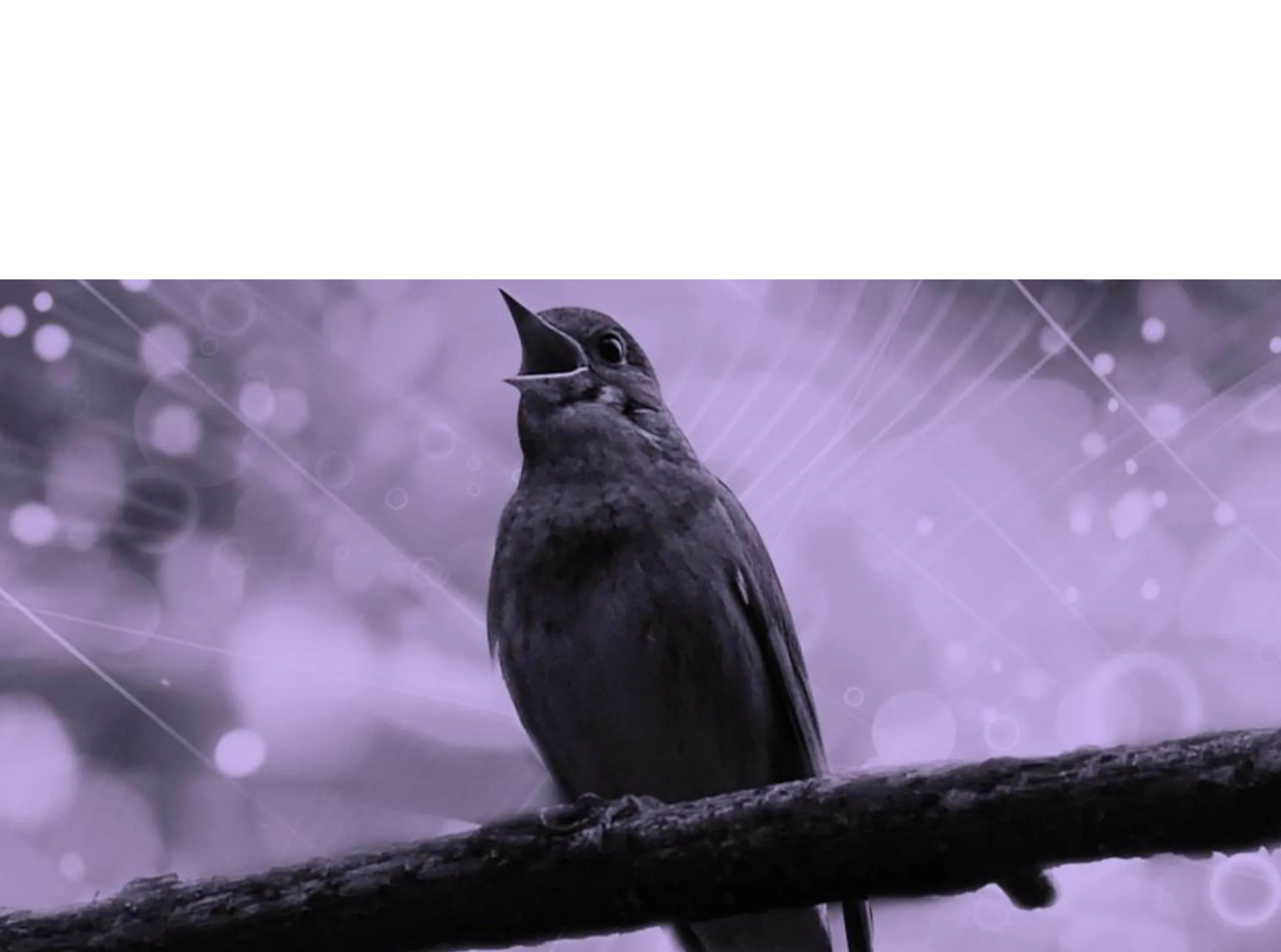 Arrange An Appointment Meaning Arrange An Appointment Meaning