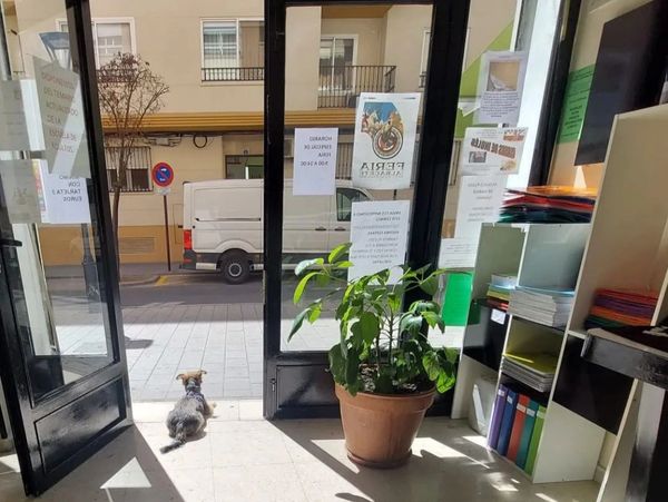 vista desde dentro de la copistería el cid