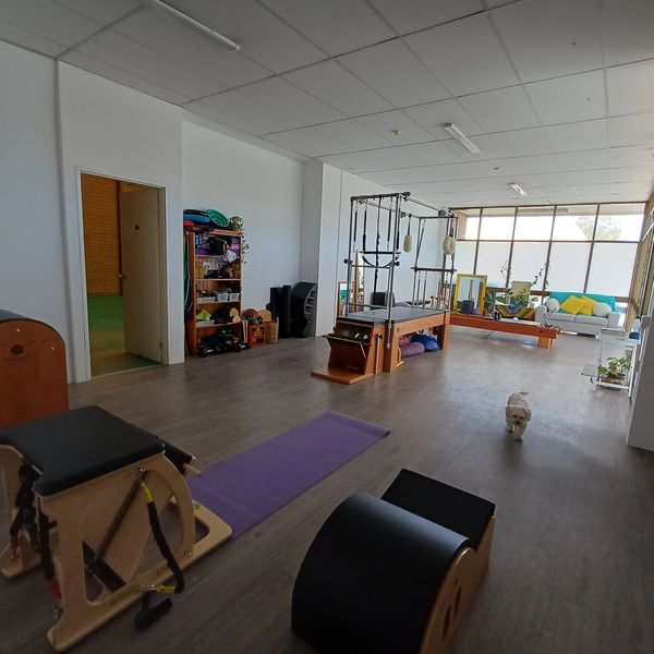 Spacious Pilates studio with equipment and a small dog.