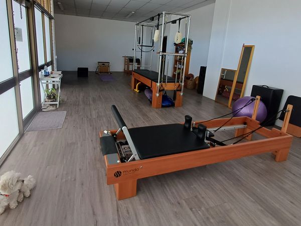 Empty Pilates studio with equipment and a small white dog.