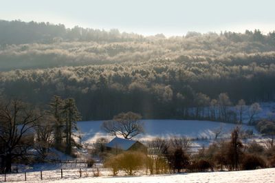 Undermountain Farm in Winter