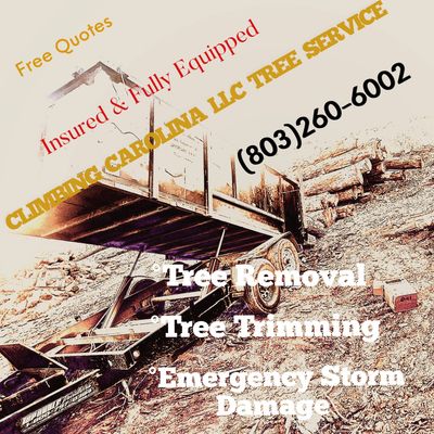 Quality Tree Service Company in Lexington South Carolina specializing in residential and commercial 