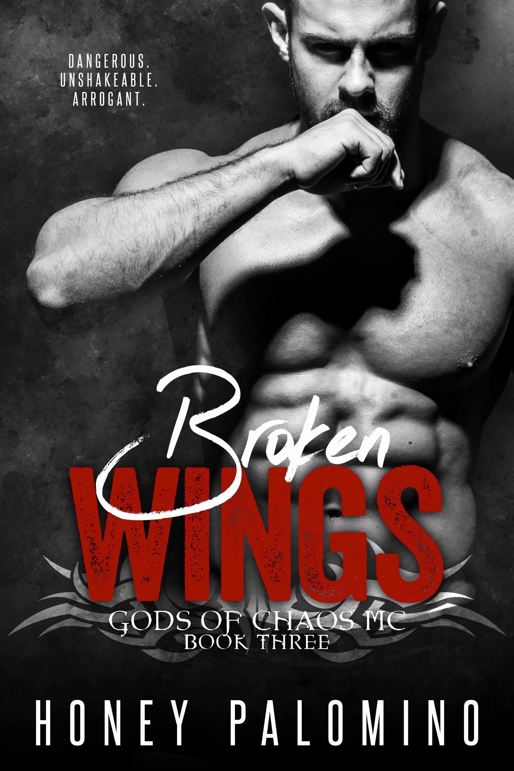 Book cover of a muscular man for 'Broken Wings' by Honey Palomino.