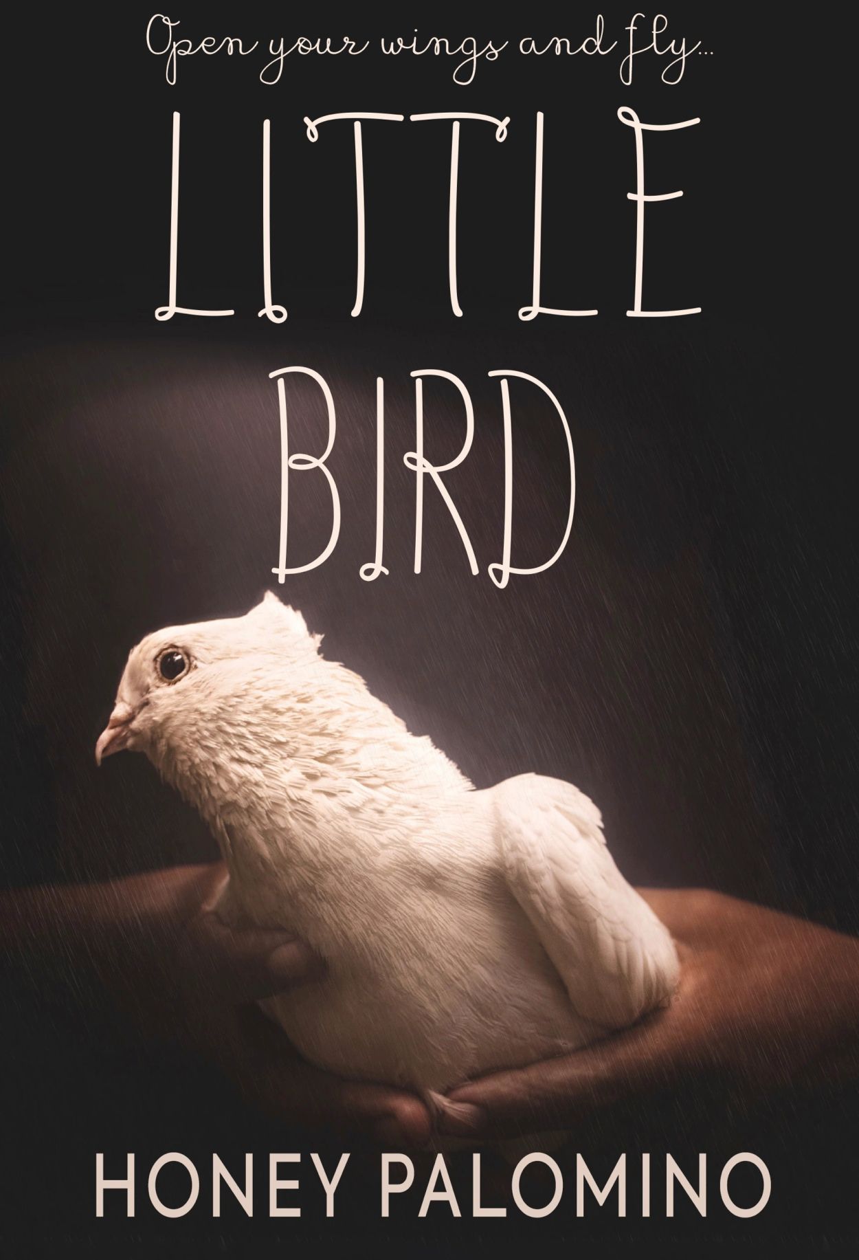 A white bird held gently with the text 'Open your wings and fly... LITTLE BIRD' and 'HONEY PALOMINO'.
