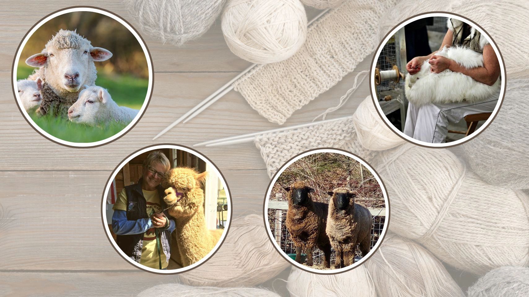 Maine Wool and Fiber Alliance