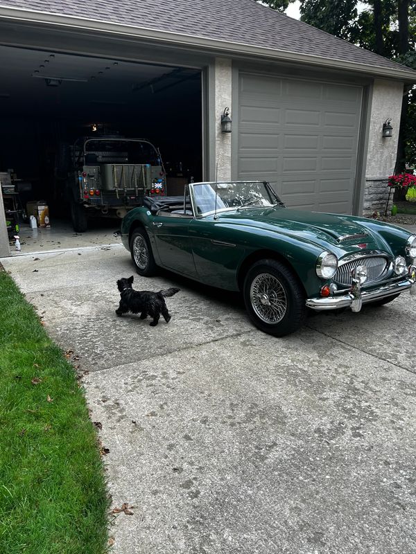 Swanny's 69 survivor 47k original mile Austin Healey 3000 