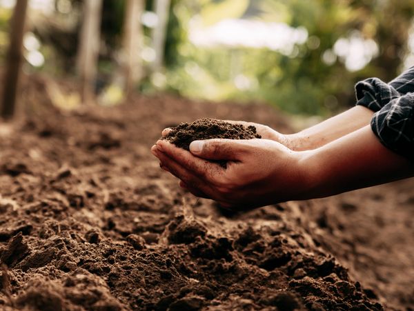 A pair of hands gently cup a handful of dark, fertile soil, with a blurred natural background.