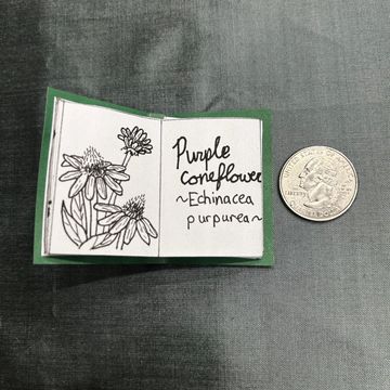 Miniature book with flower drawing and coin for scale.
