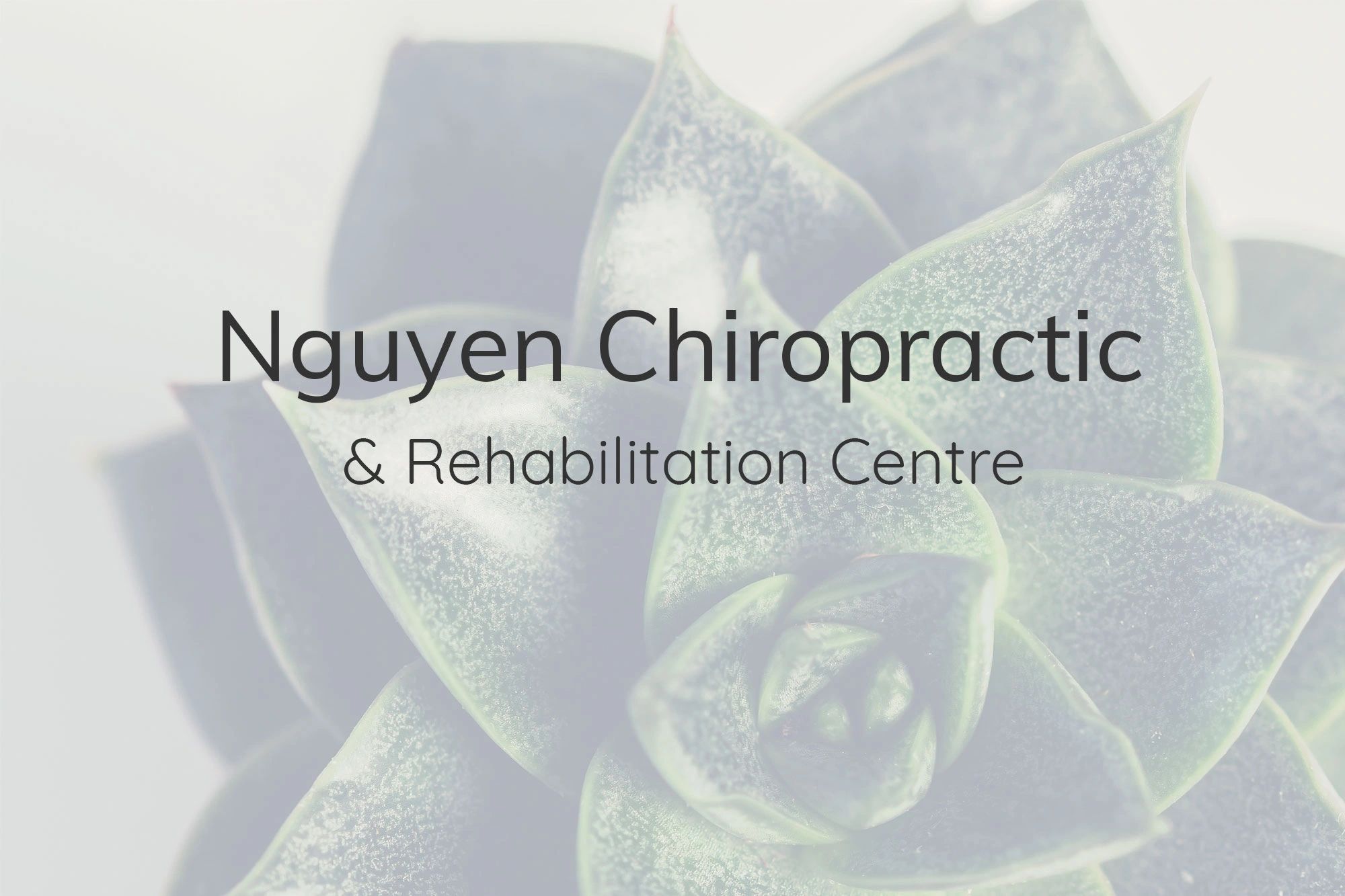 Nguyen Chiropractic & Rehabilitation Centre