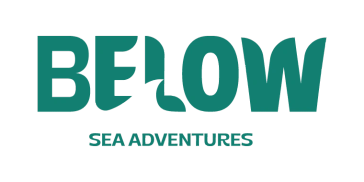 belowsea.co