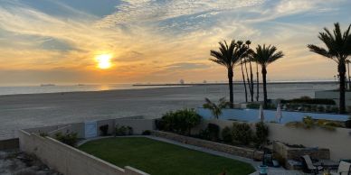 Sunset over a beach with palm trees and a garden.