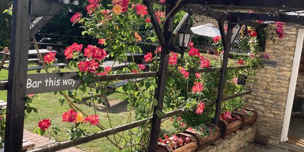 Outdoor garden with vibrant pink flowers and a "Bar this way" sign.