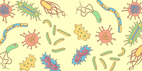 bacteria from feces
prevention of spreading fecal matter