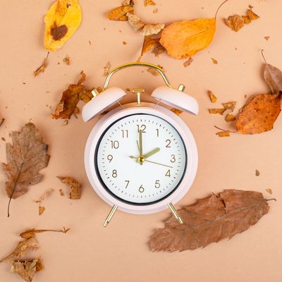 A white alarm clock laying on its back surrounded by tree leaves 