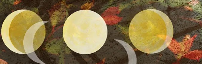 Three phases of the moon (waning crescent, full moon, waxing crescent) against a background.