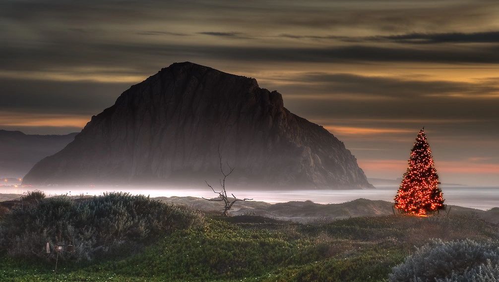 Bay Cruisers Bay Cruise, Boat Rental, Harbor Tours