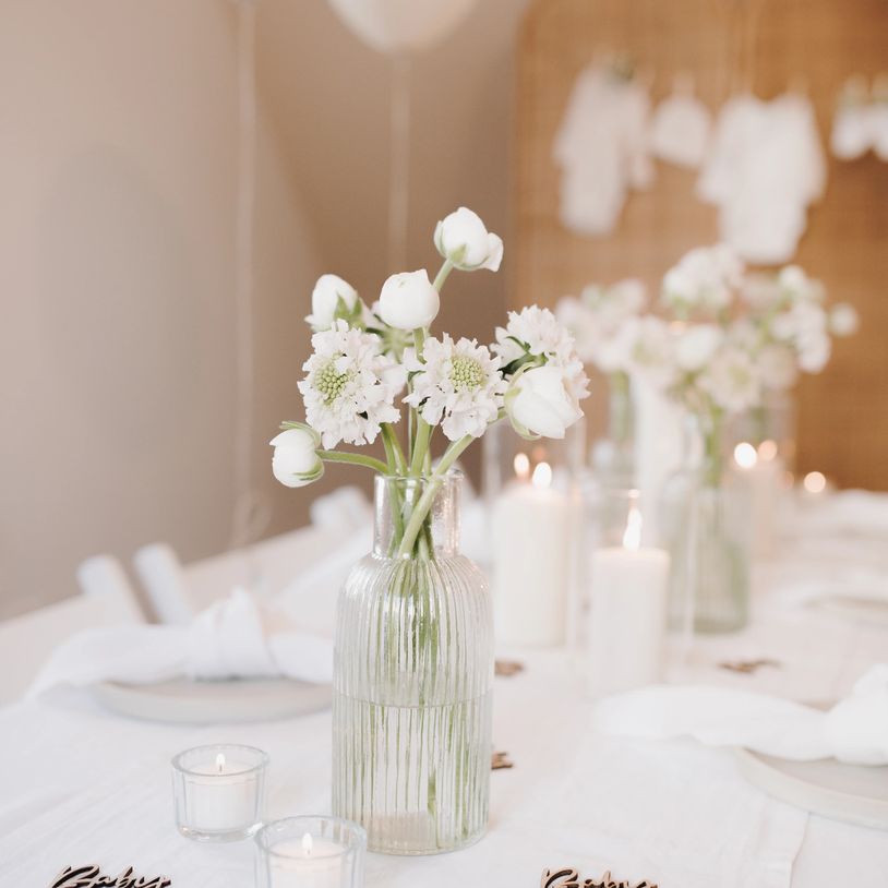 credits: selina brandl https://www.cicciphoto.de/