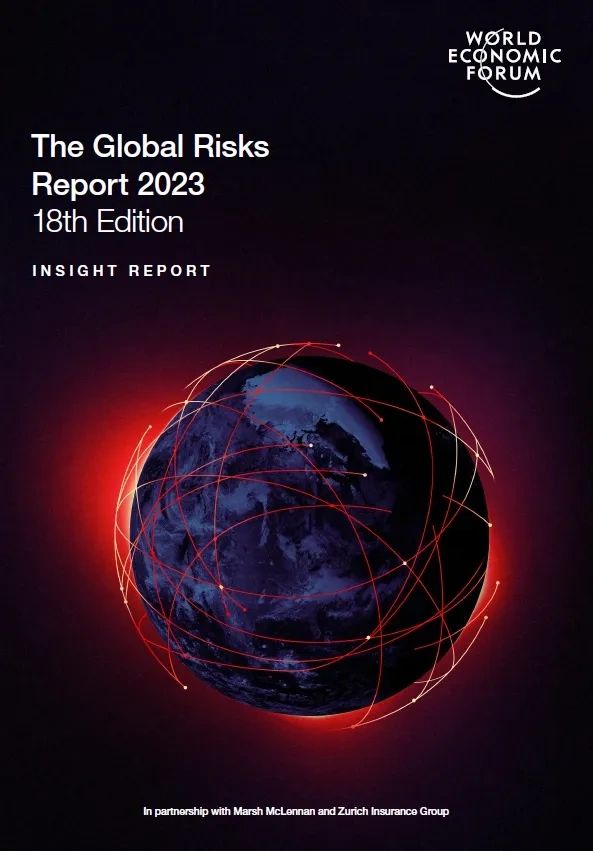 WORLD ECONOMIC FORUM GLOBAL RISK REPORT 2021 PDF visual data 6