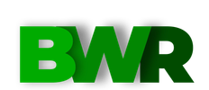 BWR - Black Women Rising