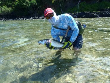 hawaiian bonefish