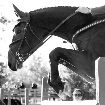 Horse and rider jumping over a fence at a competition