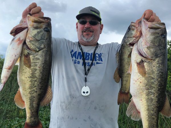 Peacock Bass Fishing Guide Charter Rates - Everglades Fishing Tours