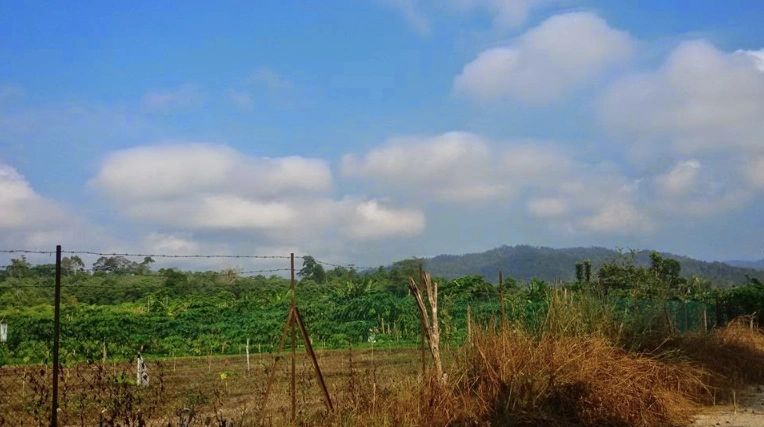 You can tell the meditation centre is indeed far from the hustle and bustle of the city.