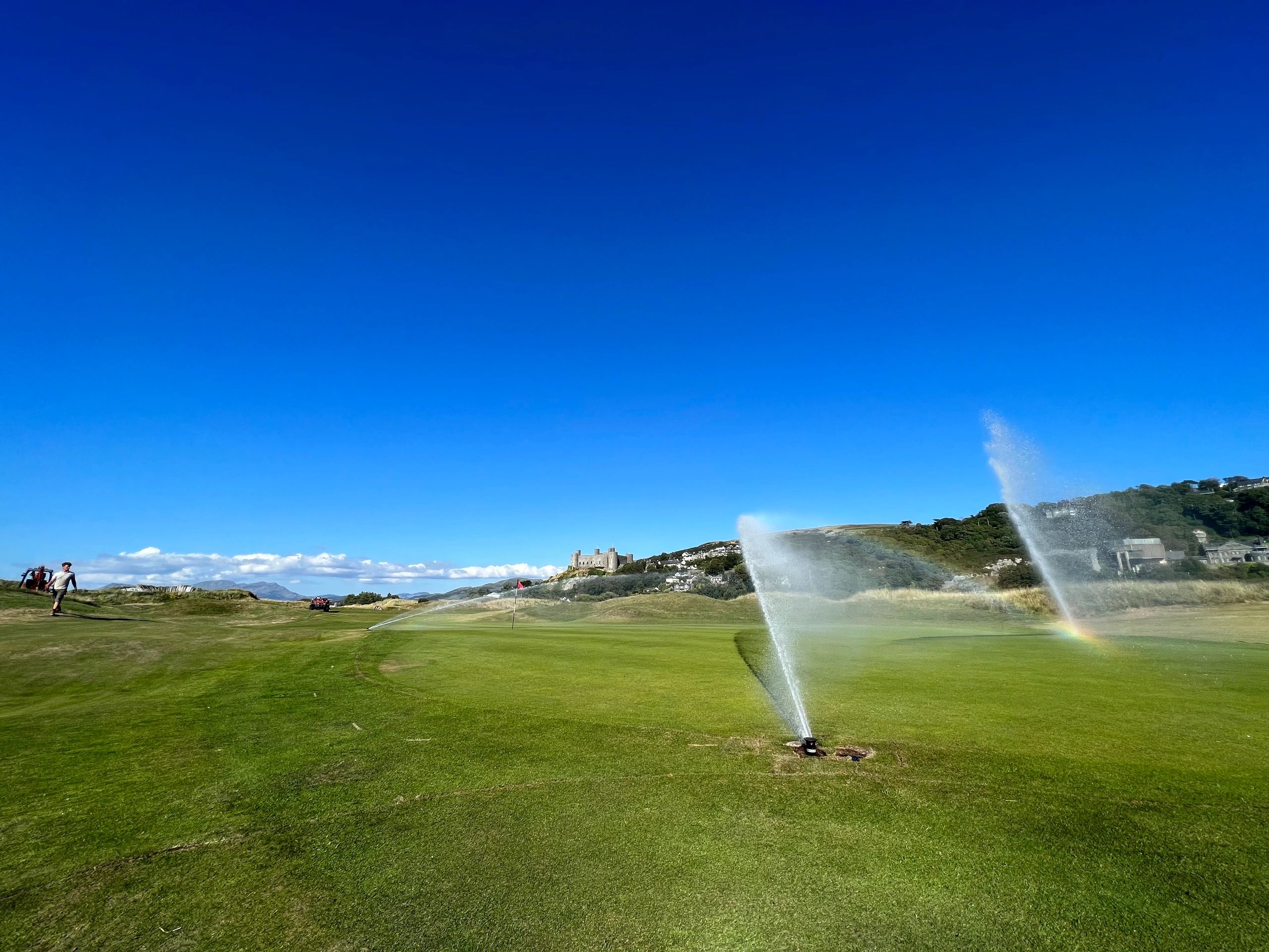 Royal St Davids Golf Club