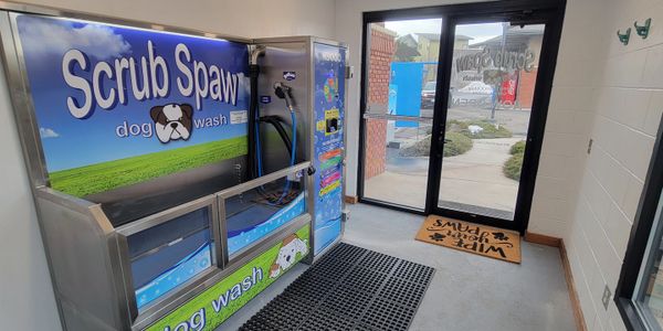 Dog Wash