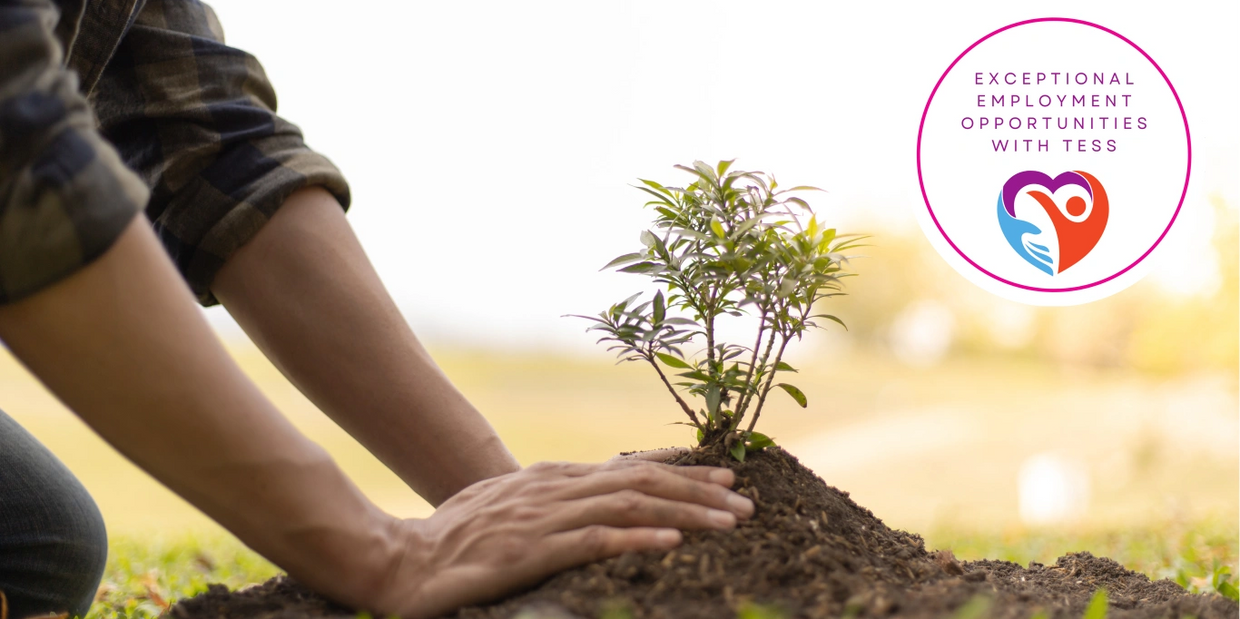 A person planting a tree. Cultivate your career journey at Tess!